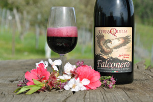 FalconeroRiserva