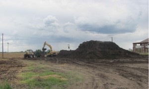 compost via albero